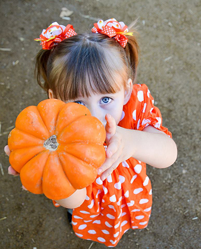 Pumpkin Photo