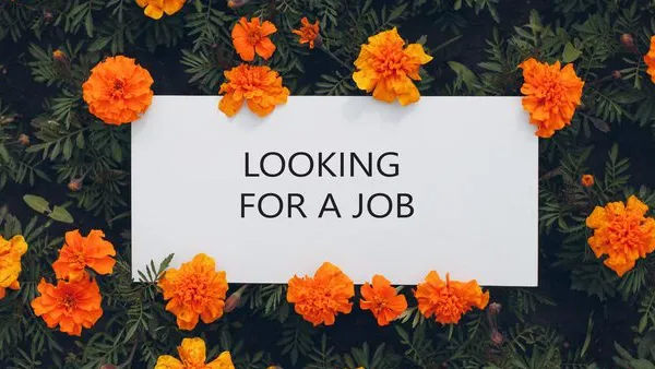 White paper poster on flowerbed. Blank template sheet with inscription Looking for a job in flowers