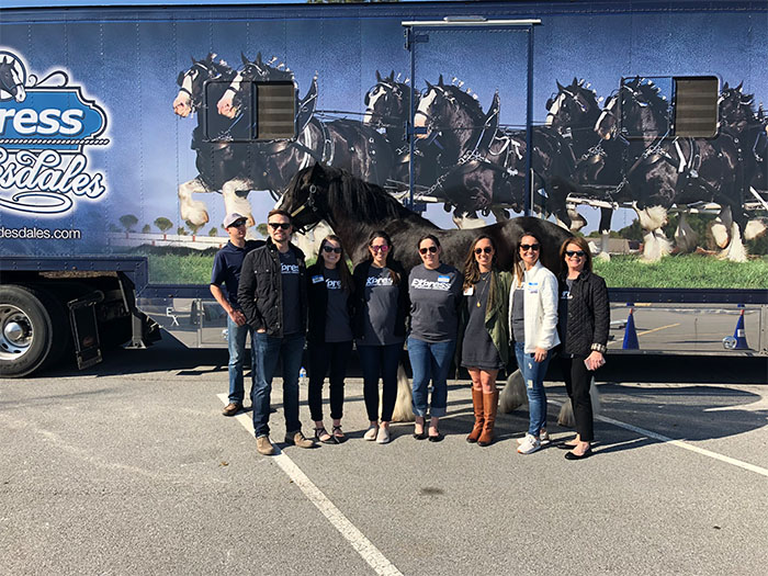 Express Clydesdales Come to Alpharetta