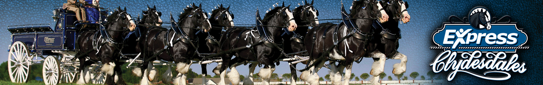 Express Clydesdales are Coming to Walla Walla